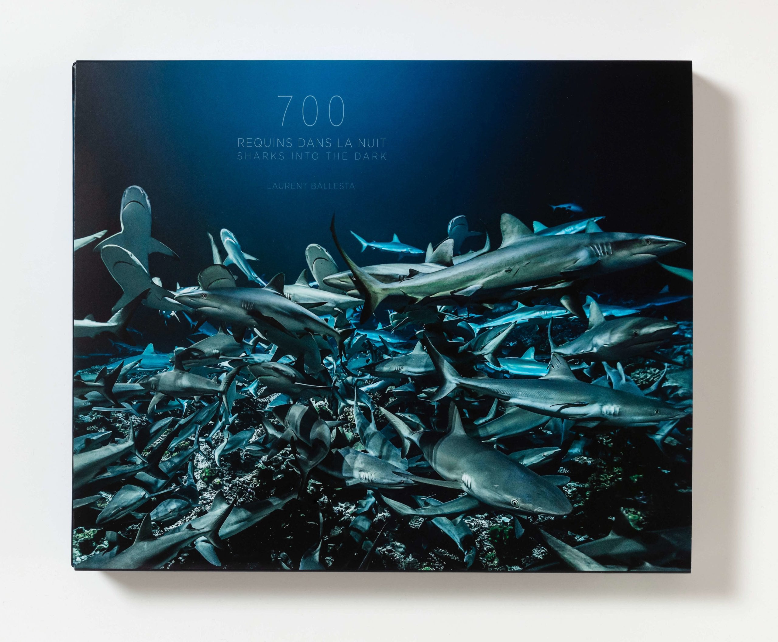 700 requins dans la nuit - Laurent Ballesta